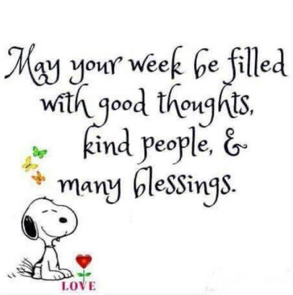 Janis Carlin's album, Timeline photos