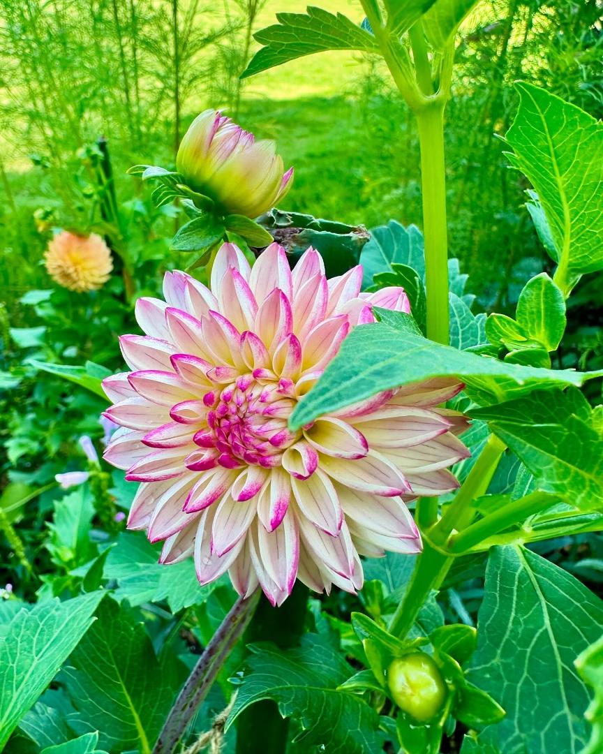 Gail Wagner's album, Timeline photos