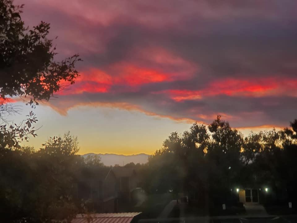 Barbara Allison's album, Mobile uploads