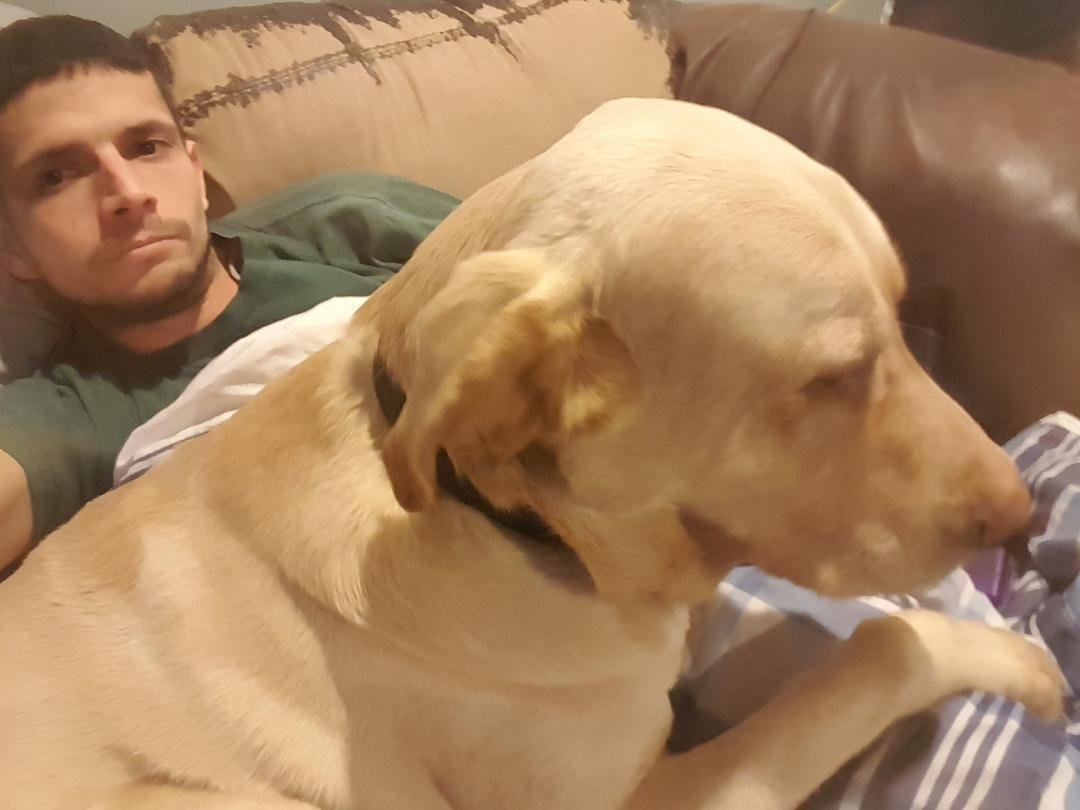 Umnn hank I don't think you're a lap dog..... just sayin