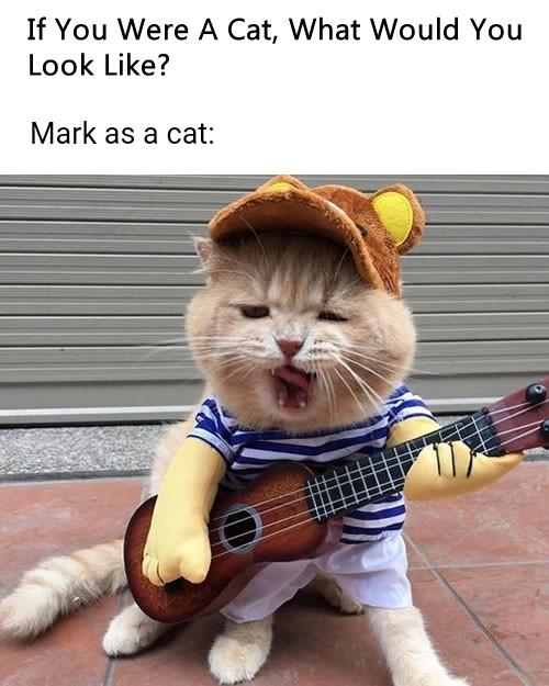 Mark Dikun's album, Timeline photos