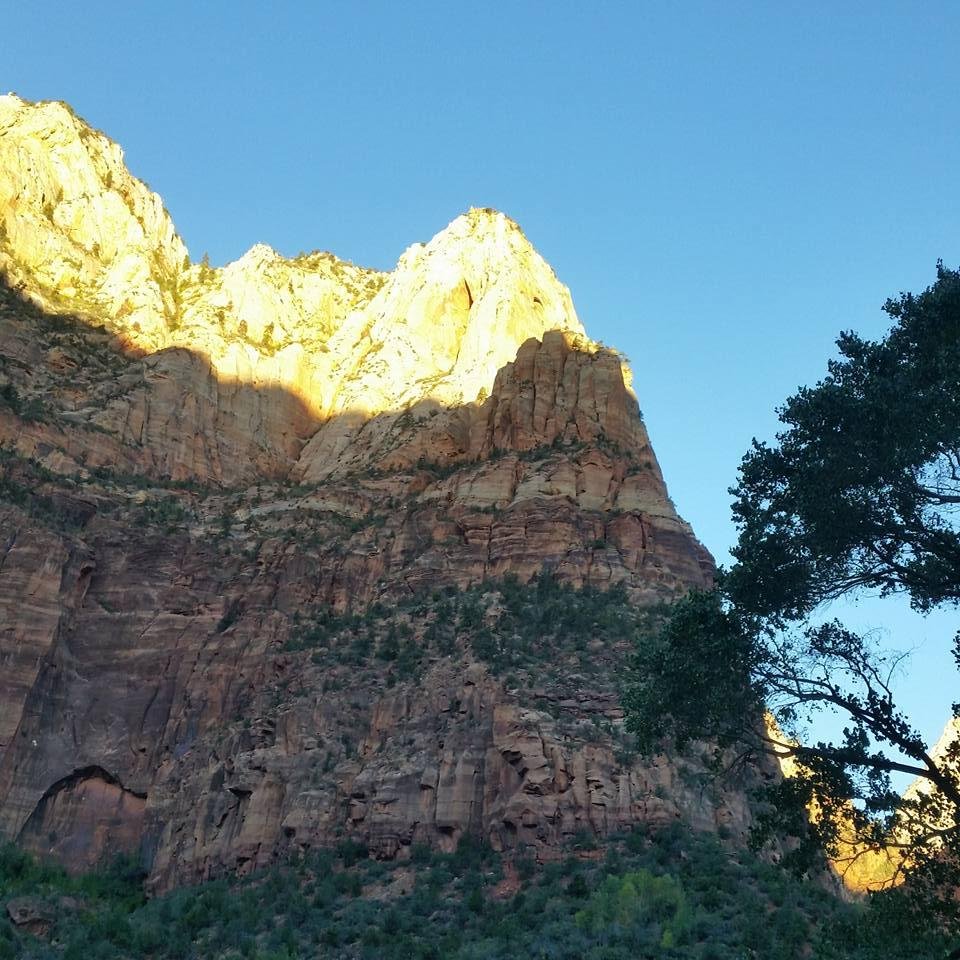 I know it's late, but good morning from Zion National Park
