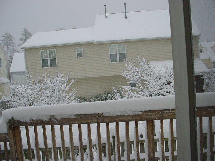 Bruce Rogers' album, December 26, 2010