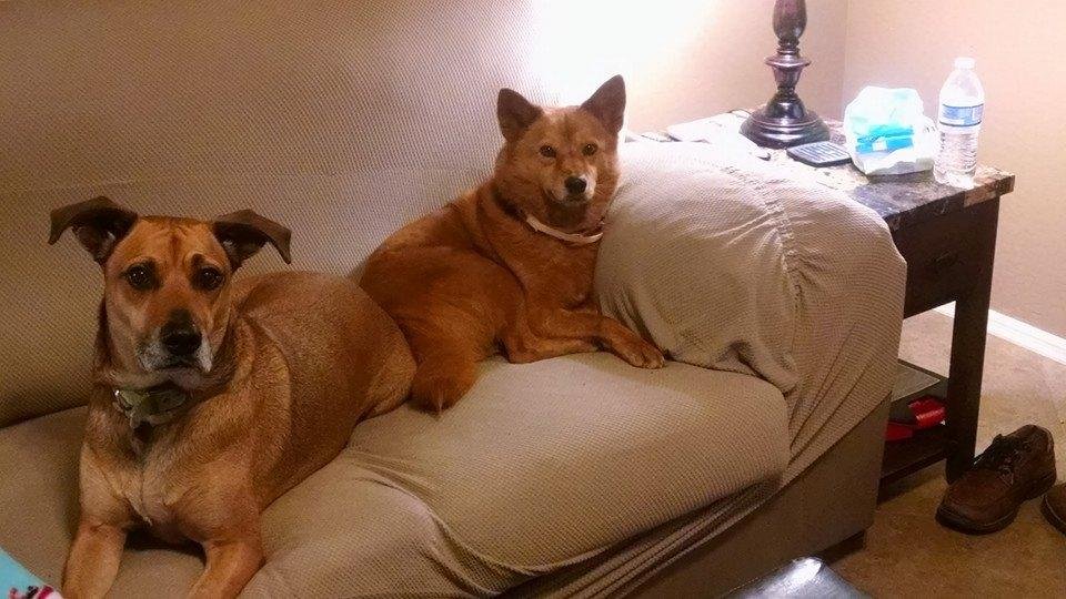 Need a caption. Their stare is creeping me out.