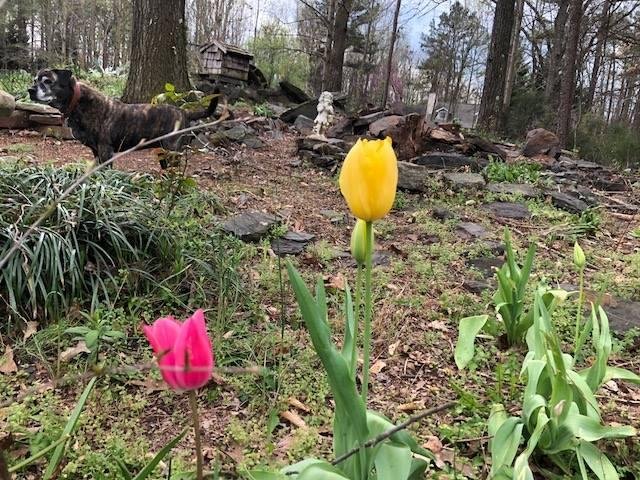 Dave Clark's album, Timeline Photos