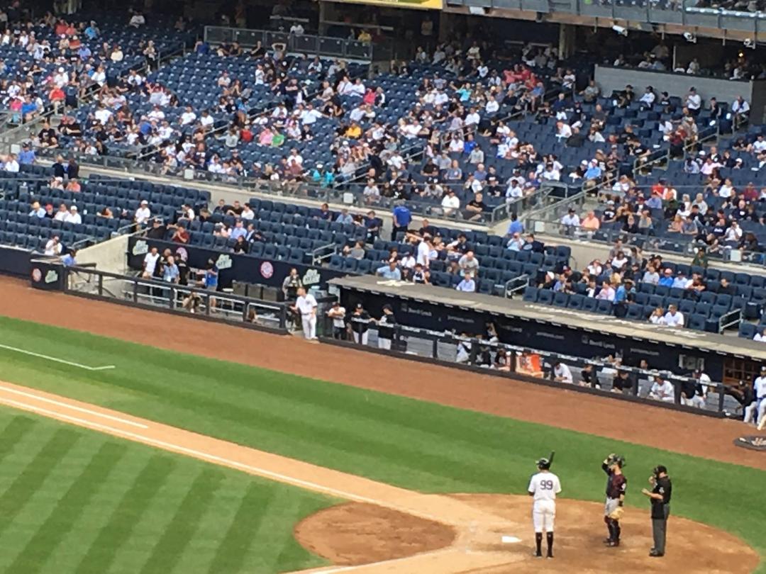 Saw the Yankees play Cleveland yesterday afternoon at the Stadium. Even though the Yankees lost twice, the weather was beautiful and we had a great time. I commemorated the occasion by taking this photo of Aaron Judge at ho