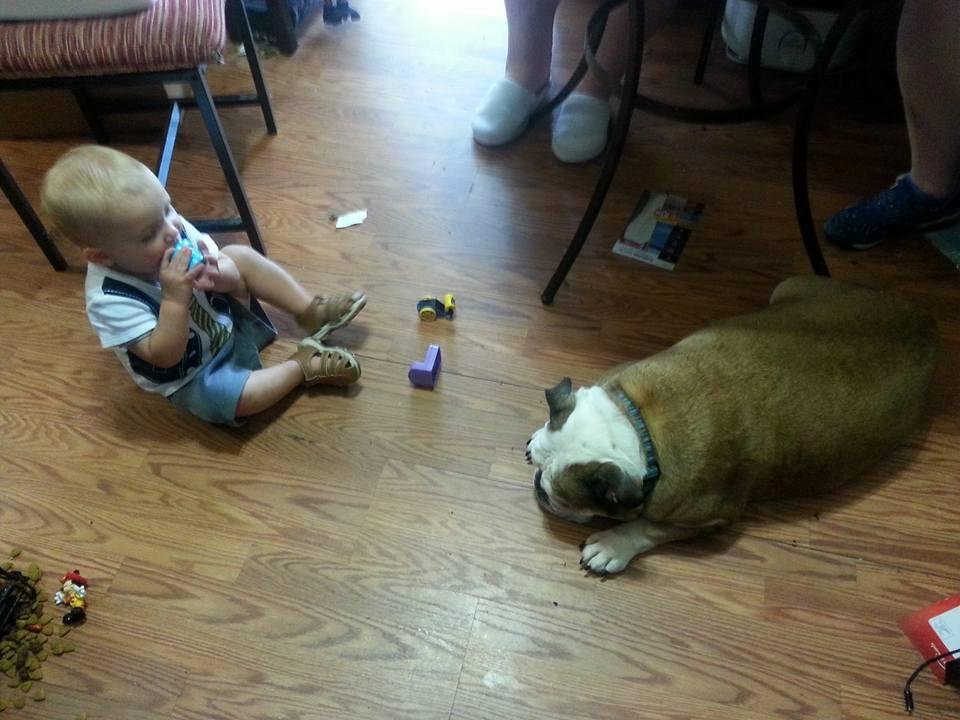 Buddies