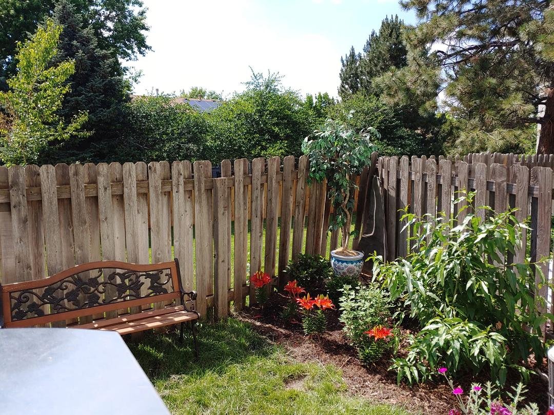 Cool and wet summer so far...but my garden is doing well.