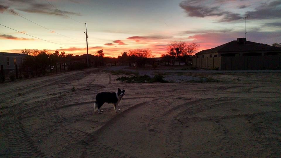 Rex Hewitt's album, Mobile Uploads