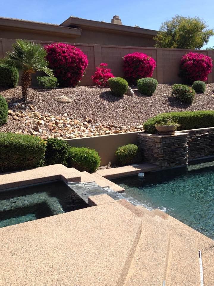 The Bougainvillea are absolutely beautiful and they are in full bloom right now that's very pretty Until the wind blows and then all the little flowers blow into the pool and if you don't get them out they get saturated and