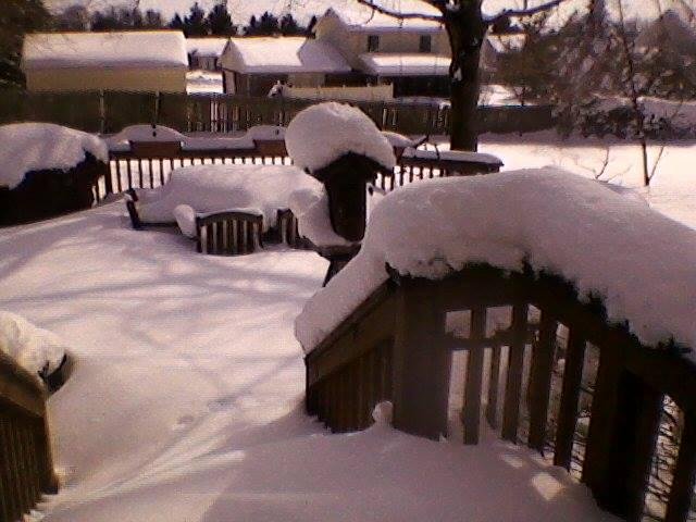 Nancy Ryan's album, Timeline photos