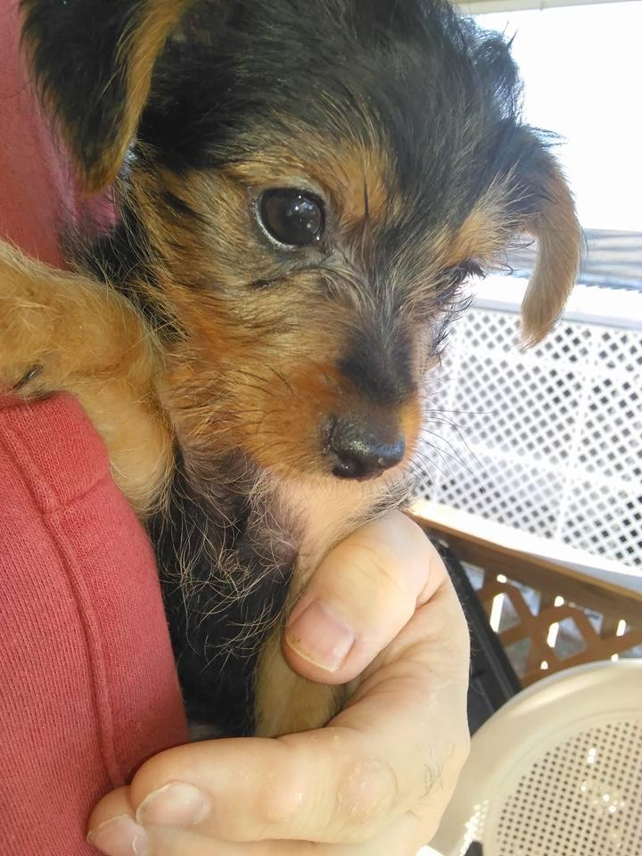 Tom Cerrato's album, Timeline Photos