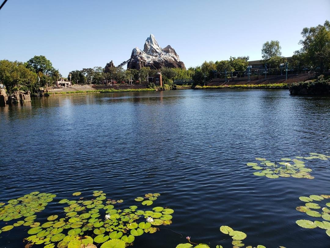 View from my favorite lunch spot at DAK