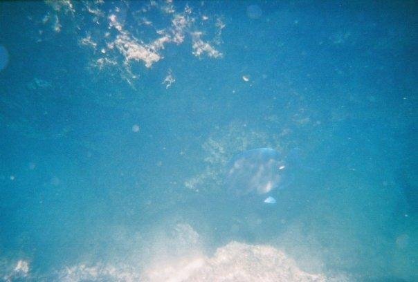Susan Holloter's album, Vacation 08/2008