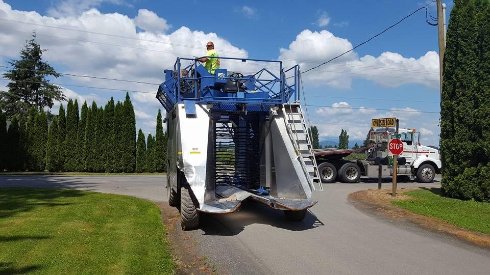 Blueberry season in full swing here. This is one of the pickers.