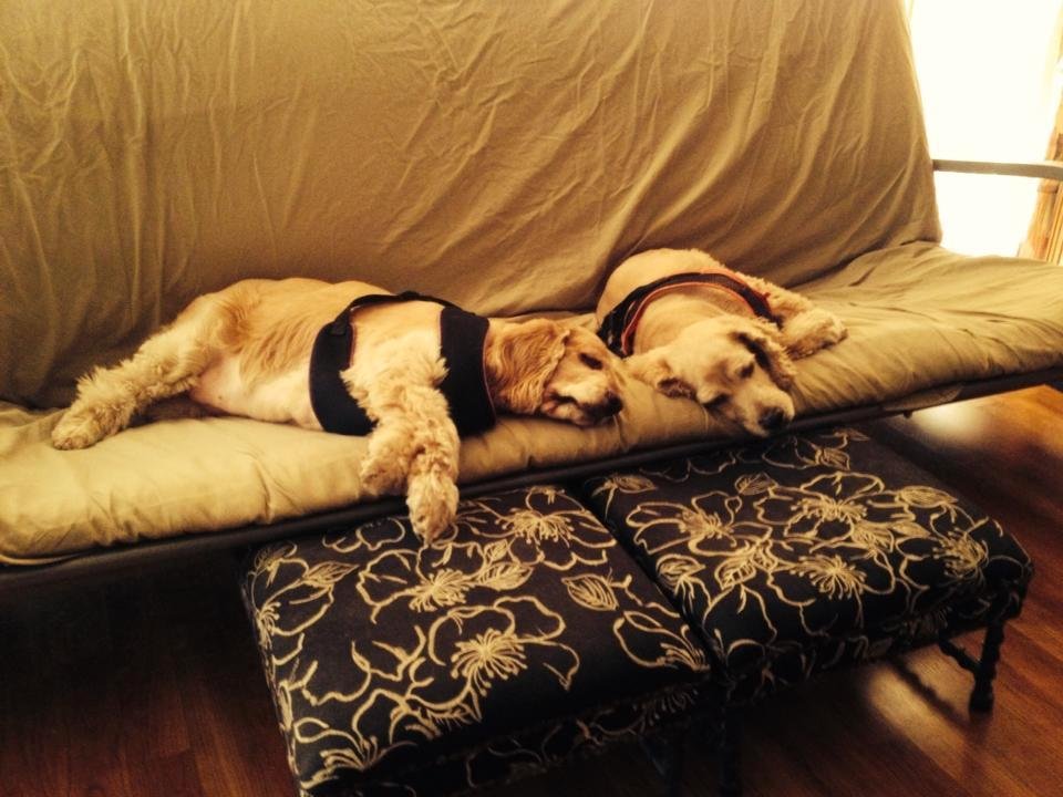 These girls have such a tough life!!!!!