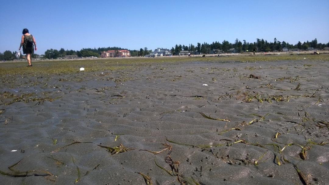 -2 low tide. Gorgeous day