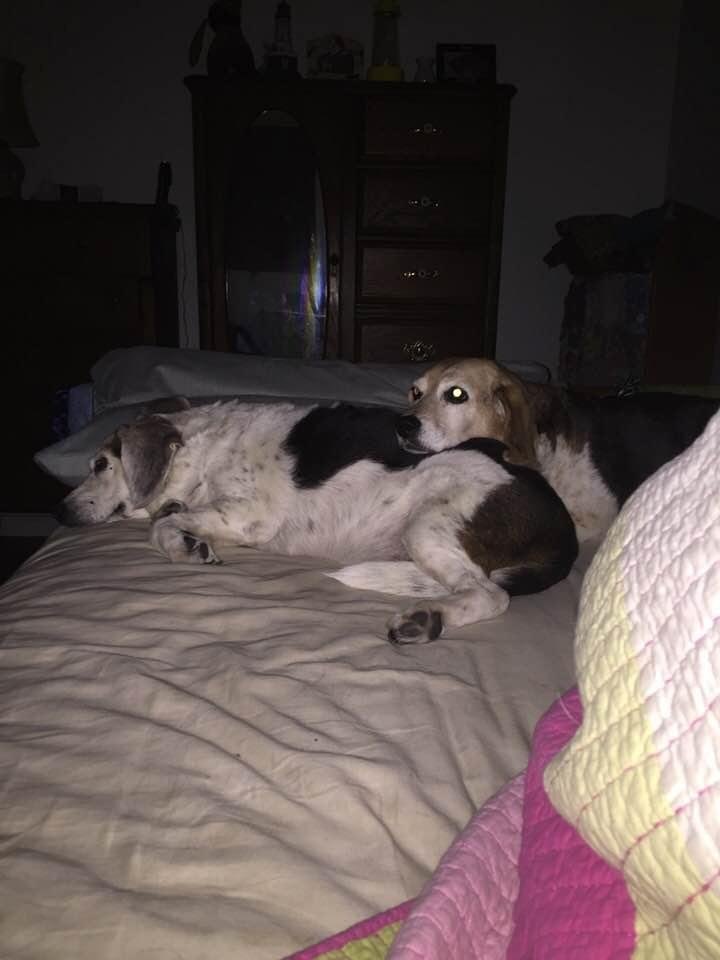 My babies.
