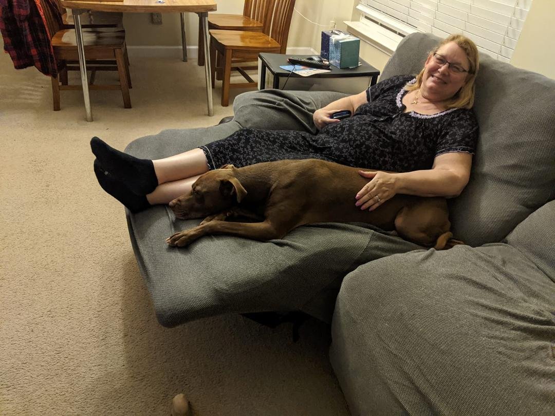 I caught my wife with that dog again.
