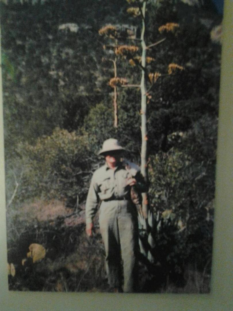 Virginia Duffek's album, Mobile Uploads