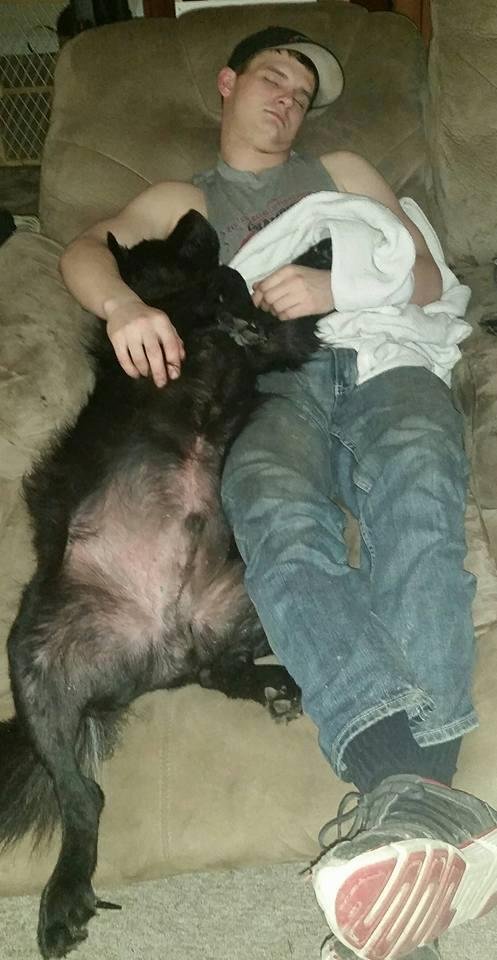 Napping on a Sunday afternoon with man's best friend