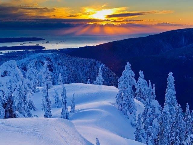 James Best's album, Timeline Photos