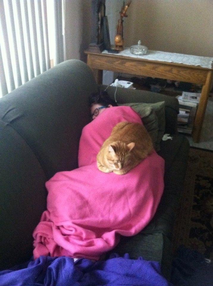 Another exciting day at barrows household.