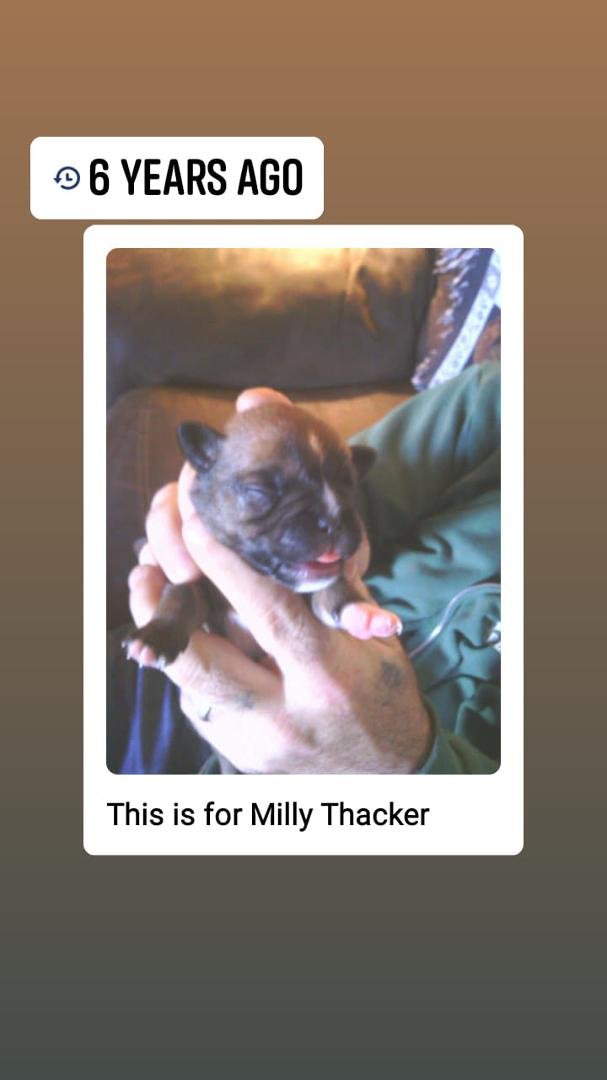 stacy grubb's album, Mobile Uploads