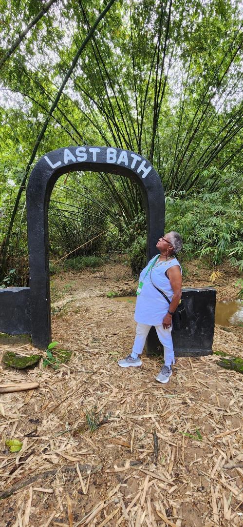 vera harris' album, Mobile uploads