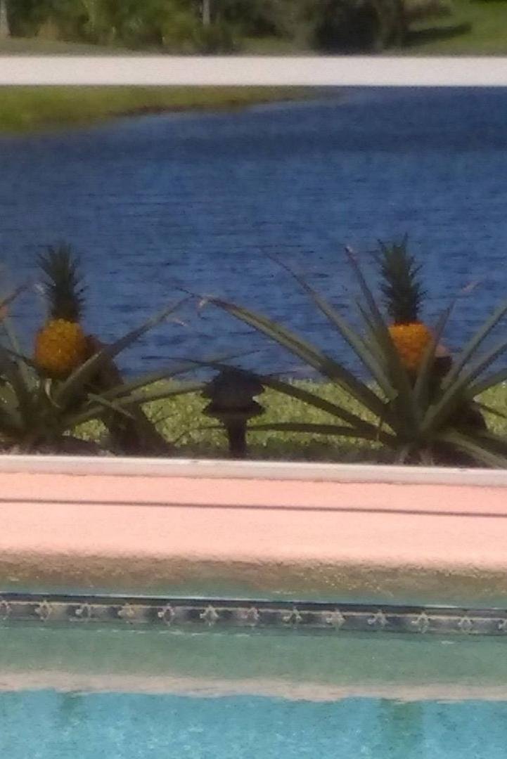 Two more almost ready!! Yum,yum!😎
