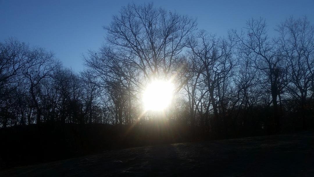 william cook's album, Mobile Uploads