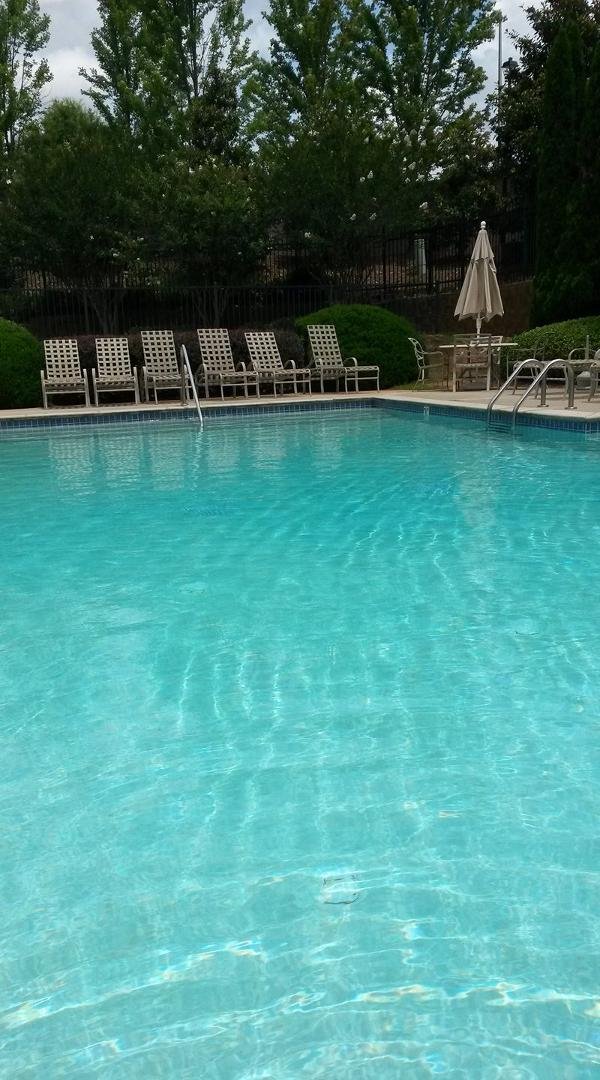 Hanging out at the pool today