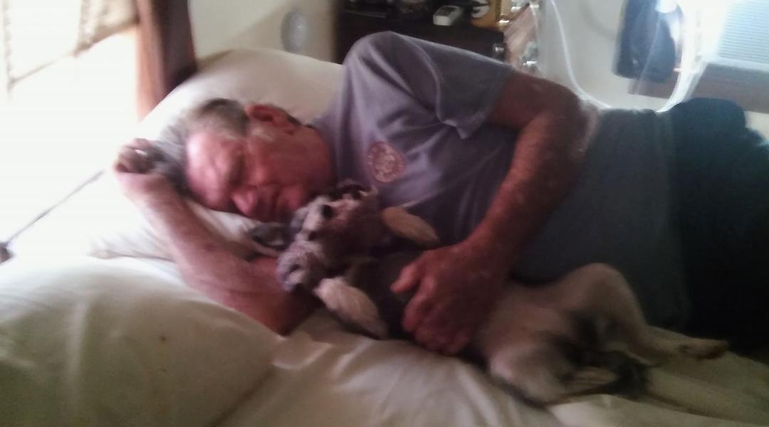 Danny and Fancy taking their after noon nap!