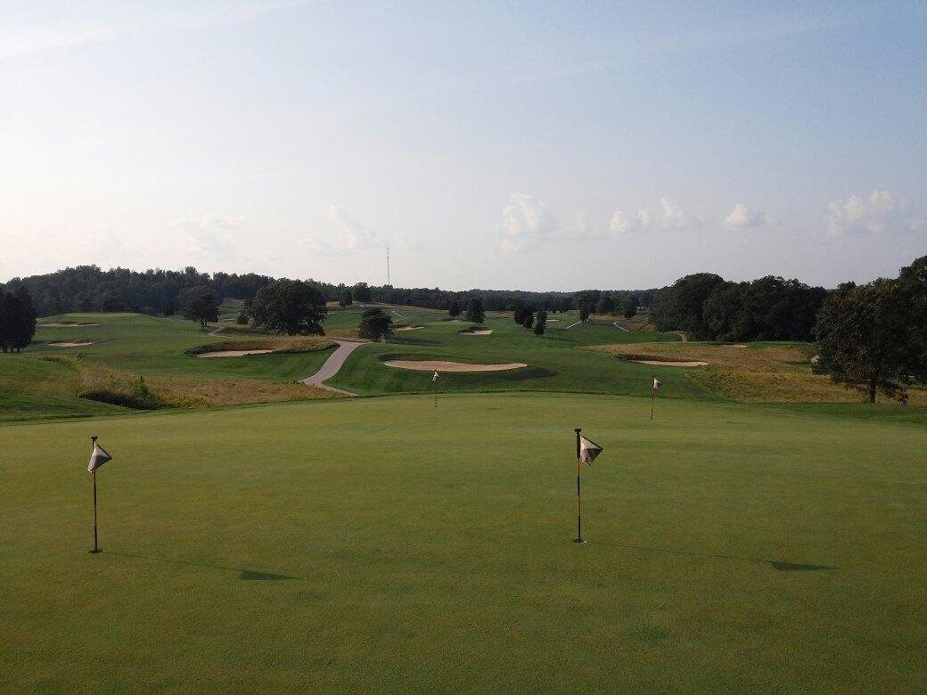 Really nice courses