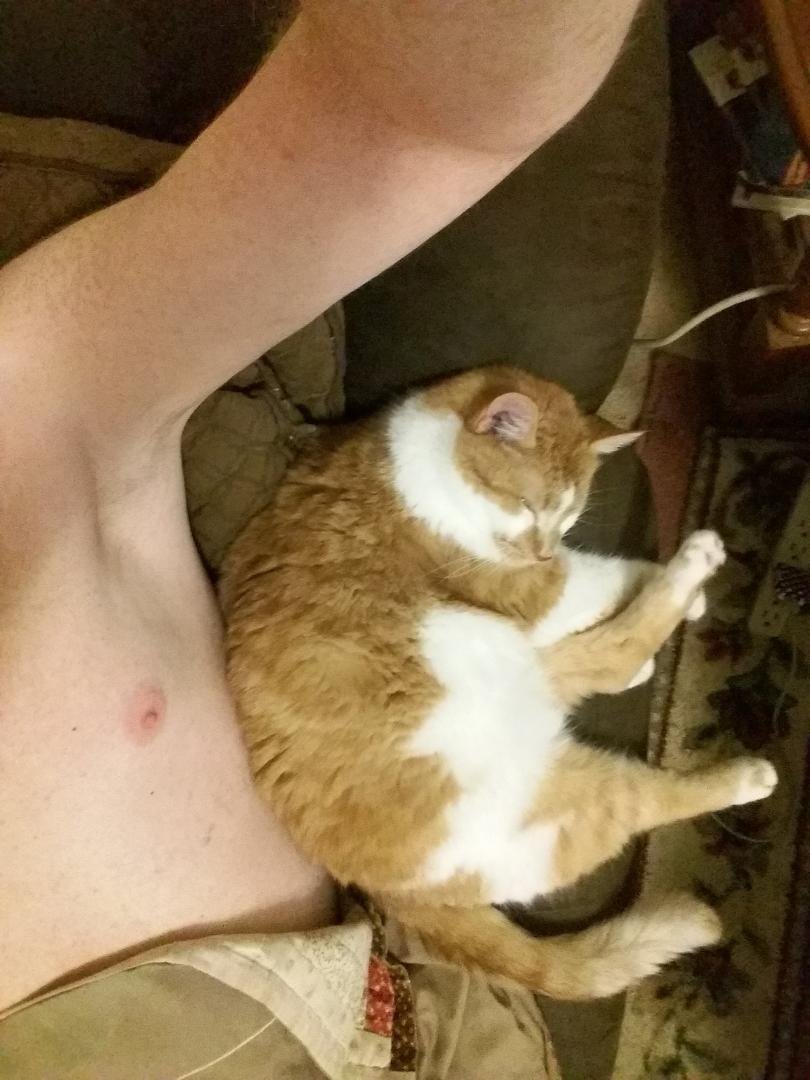 Said goodbye to my buddie Pugsli this morning, sure gonna miss him