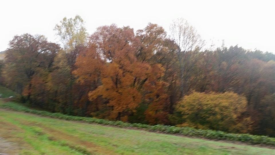 Mike Dailey's album, Mobile Uploads