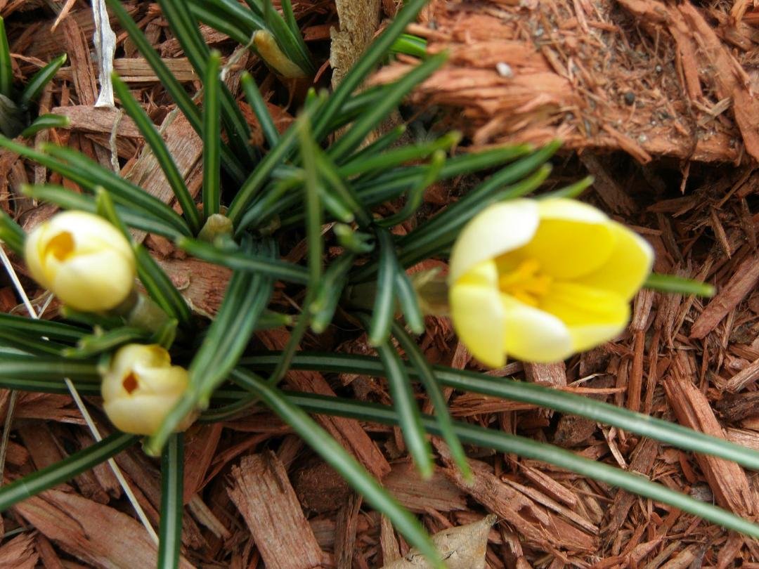 2/23/2012