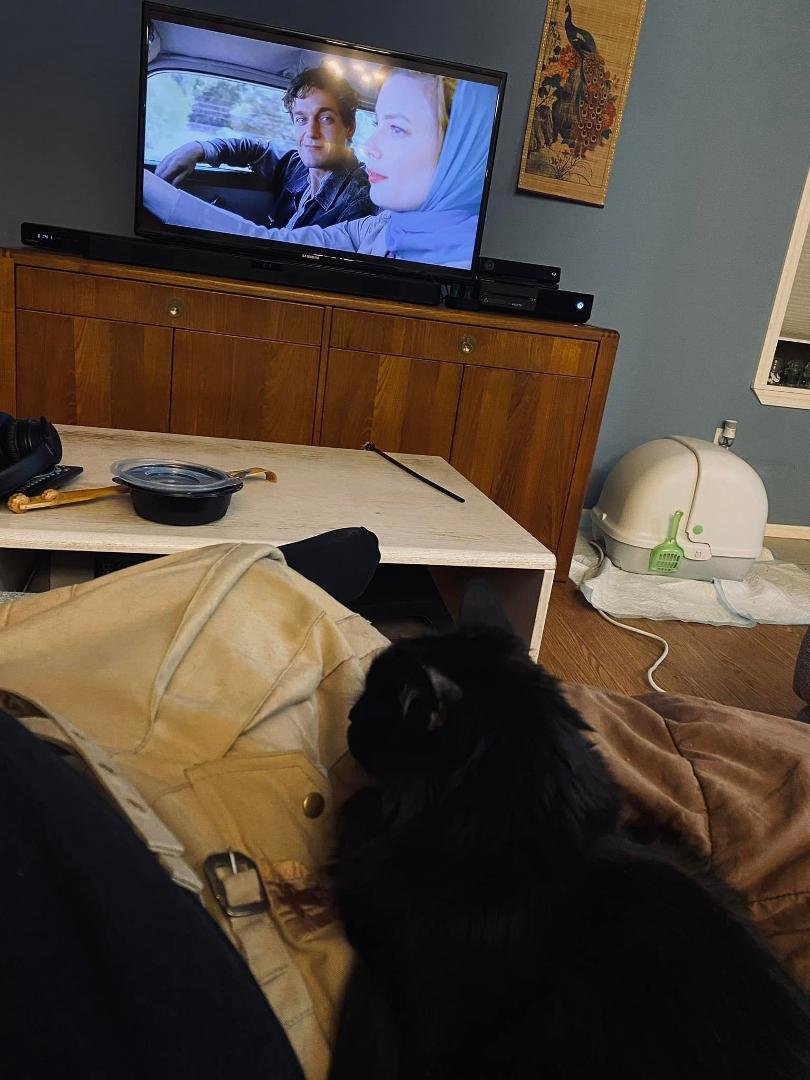 When your cat watches TV with you