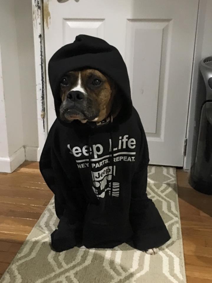 Shorty wearing my sweatshirt.
