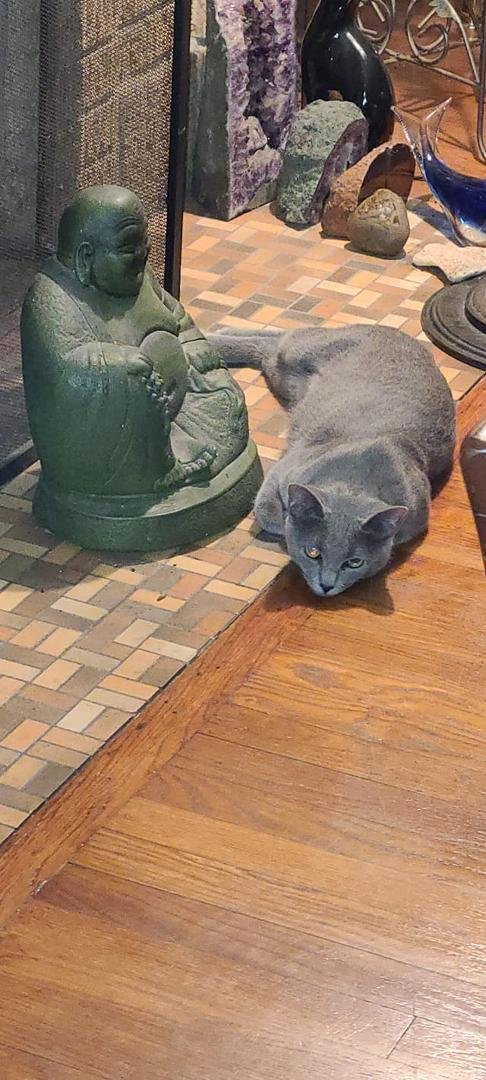 Simone and the Happy Buddha.