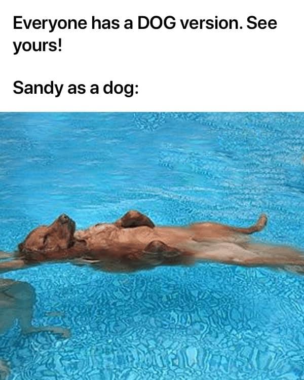 Sandy Beach's album, Timeline photos