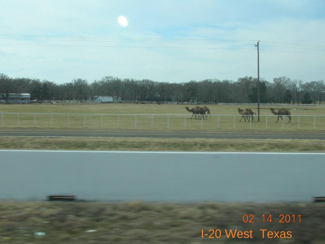 TBT  Going to Dallas TX.