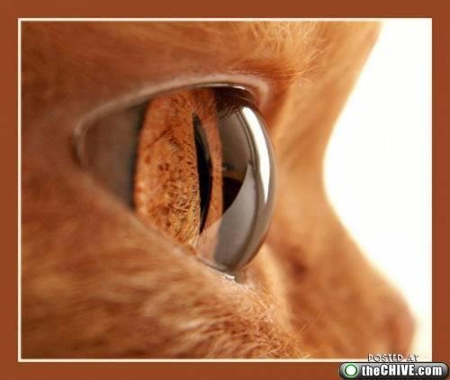 Roger Howard's album, Timeline Photos
