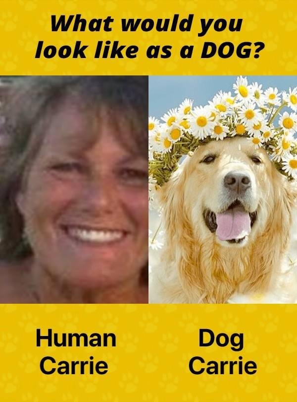 Flower Child, flower dog! lol