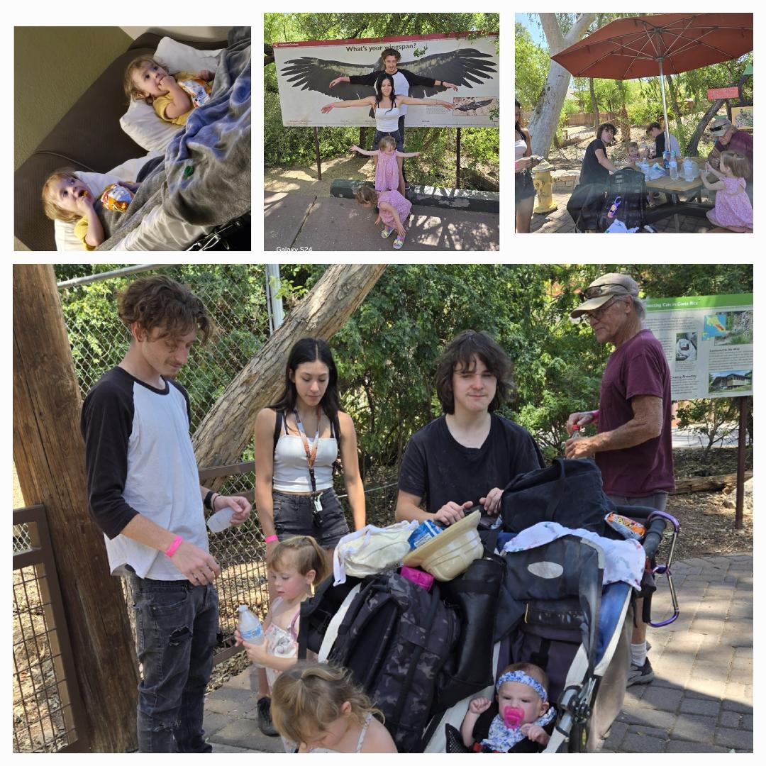 A day at the zoo with my zoo