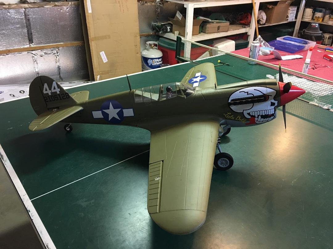 P40 Warhawk