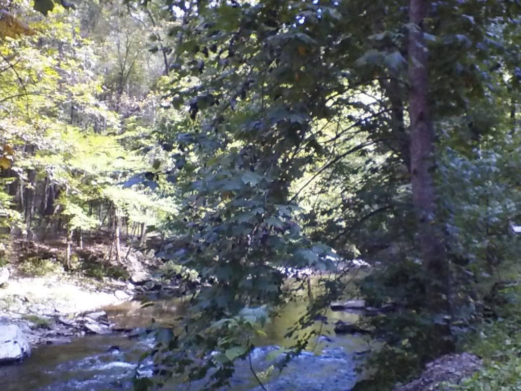 We had a wonderful time in Tennessee at the great smoky mountains ,love always loved the mountains.