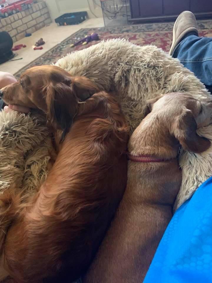 Both loving the new bed