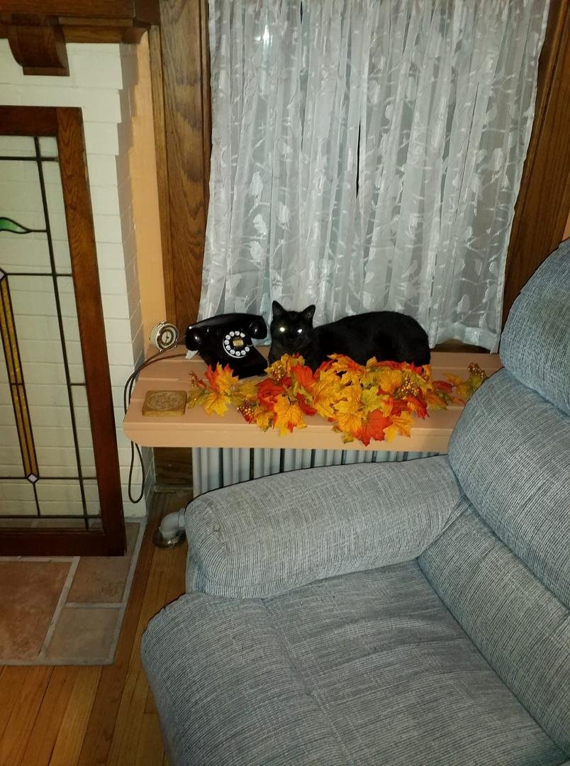 Getting ready for Halloween