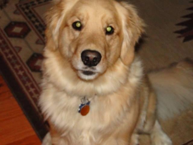 Jeff (Moose) Coates' album, Timeline Photos